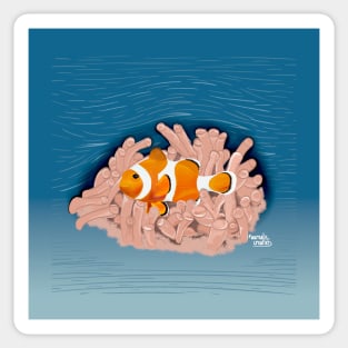 Clown fish Nemo Sticker